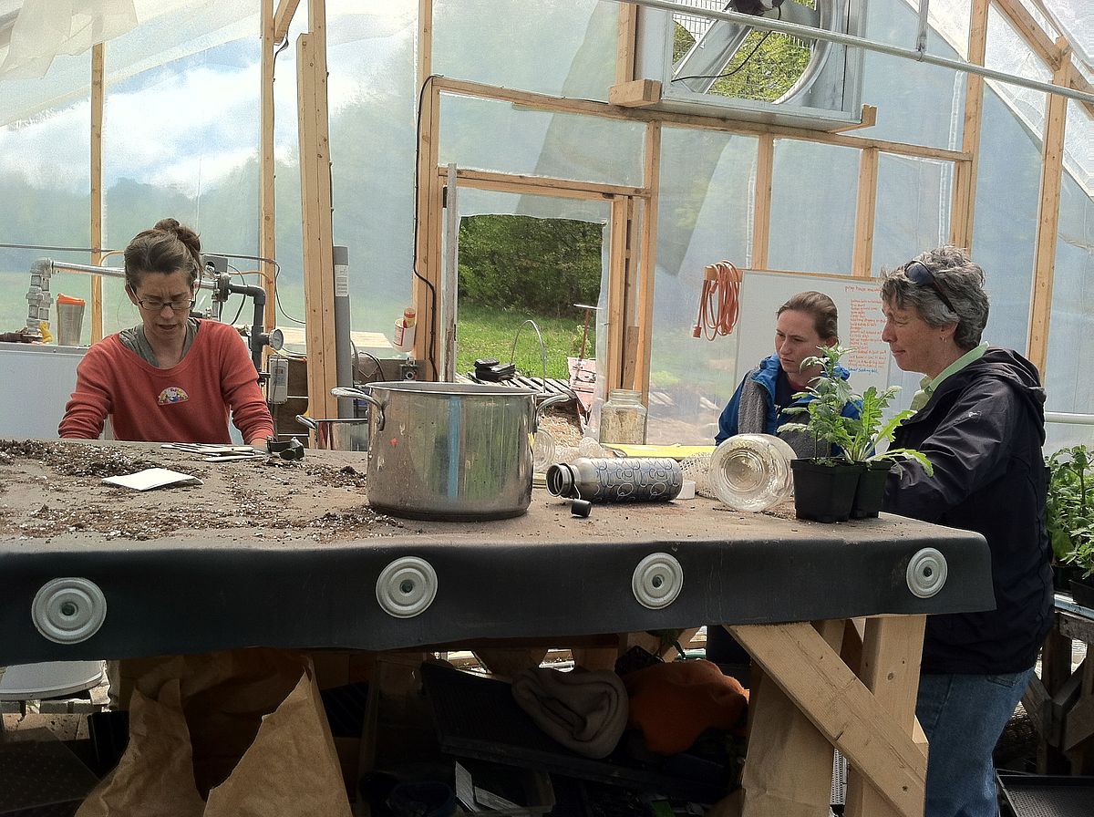 people work at a wooden table in a hoop house