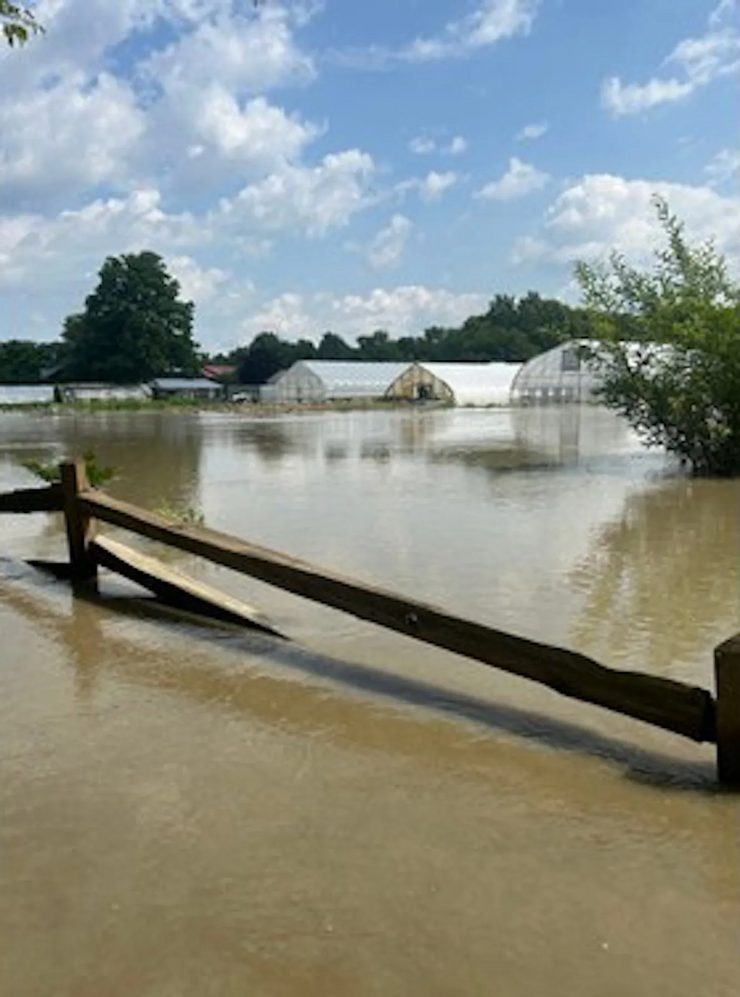 flooded greenhouses