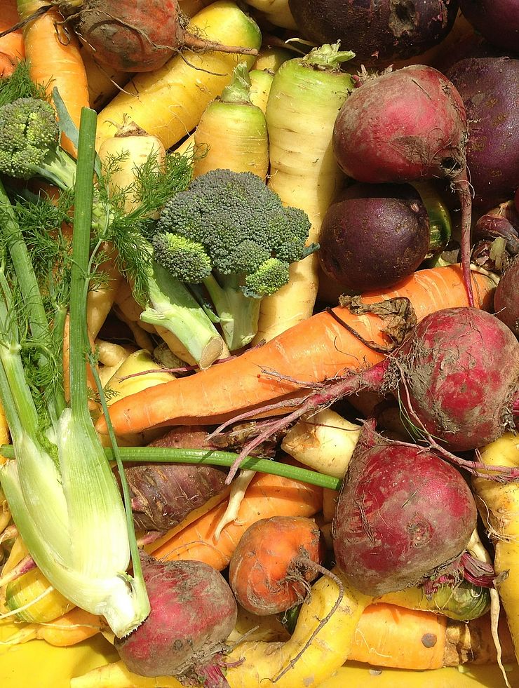 freshly harvested raw vegetables