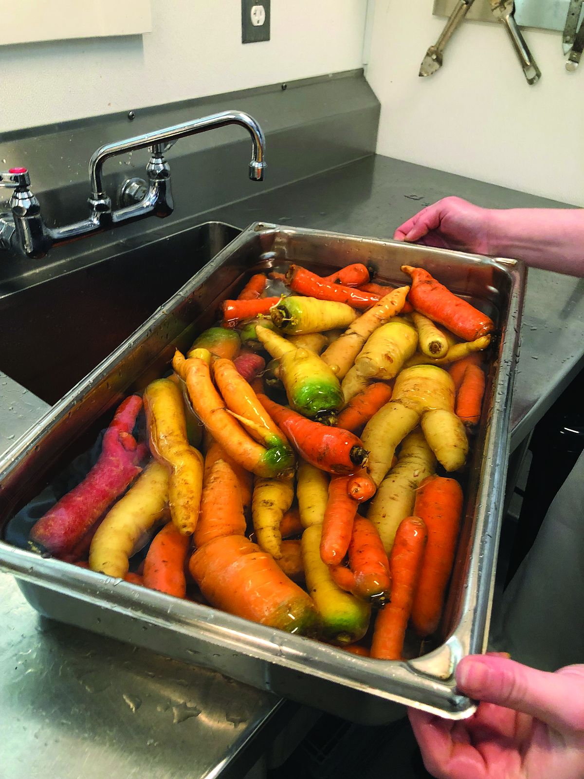 whole carrots being washed