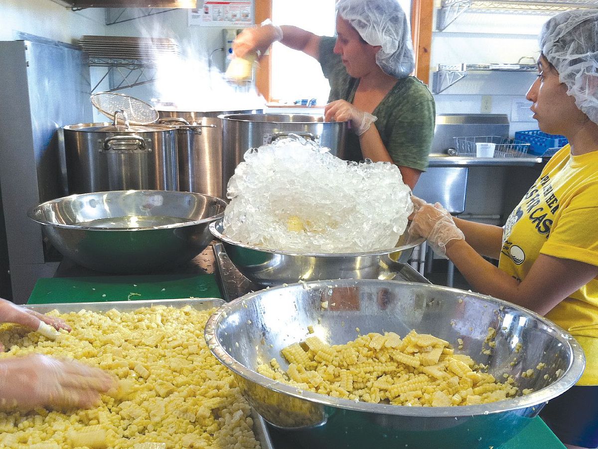 people processing fresh corn in a kitchen