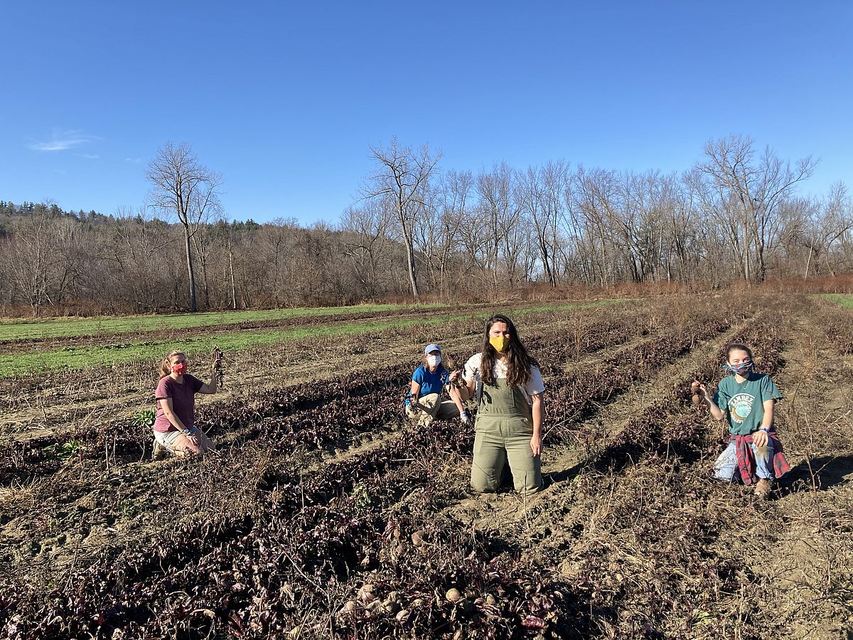 four women kneel in a field holding beets