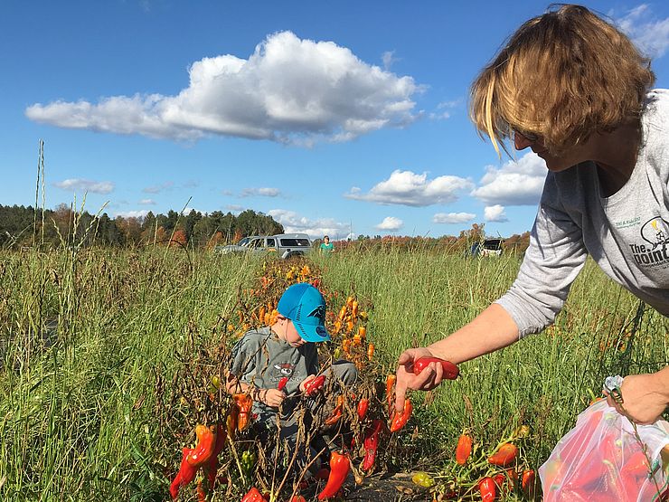 Lynette & Carson glean at High Mowing Organic Seeds