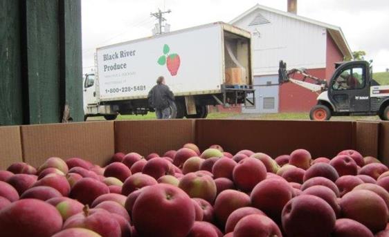 A delivery of gleaned apples arrives at the prison courtesy of Black River Produce