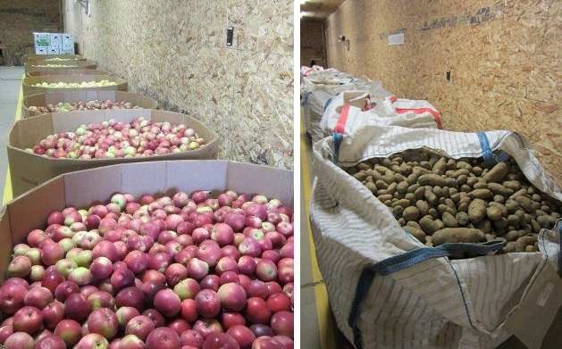 Bins of apples, big bags of taters