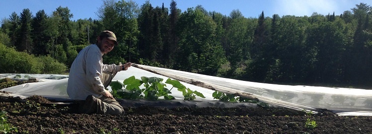 Checking on zukes