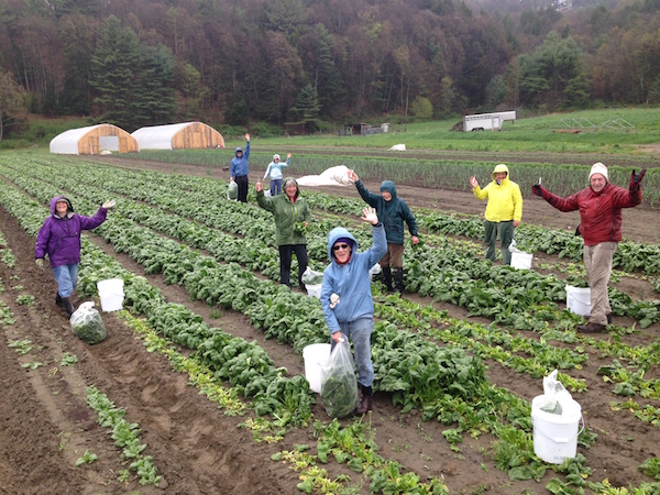 people in a farm field harvesting and waving at the camera