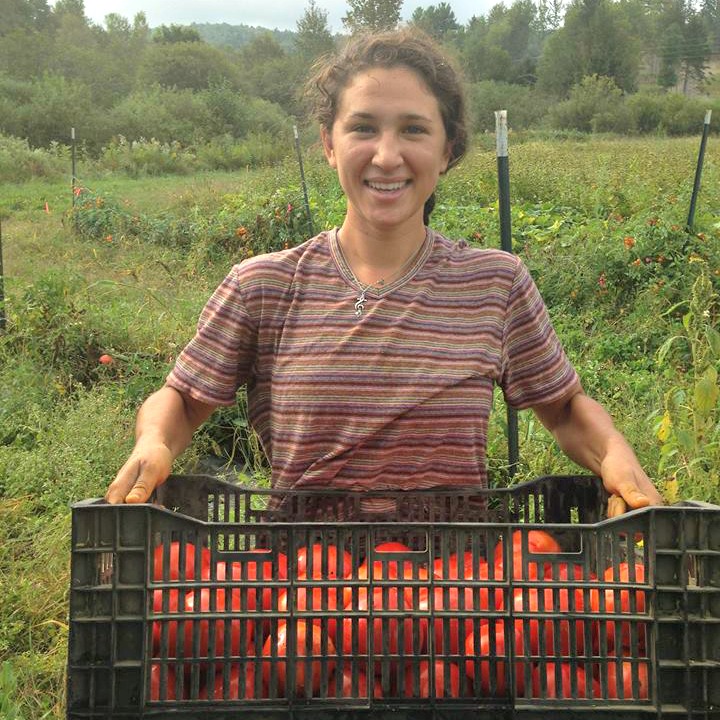 farm worker carrying tomatoes